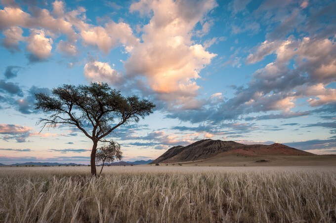 Morning Sunlight shines golden hues onto a cloudy sky above the Namib Rand Landscape